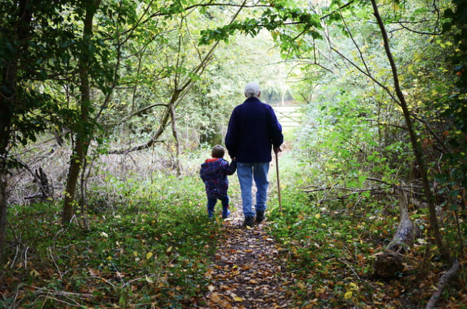 The Rights of Grandparents in Custody Cases in California